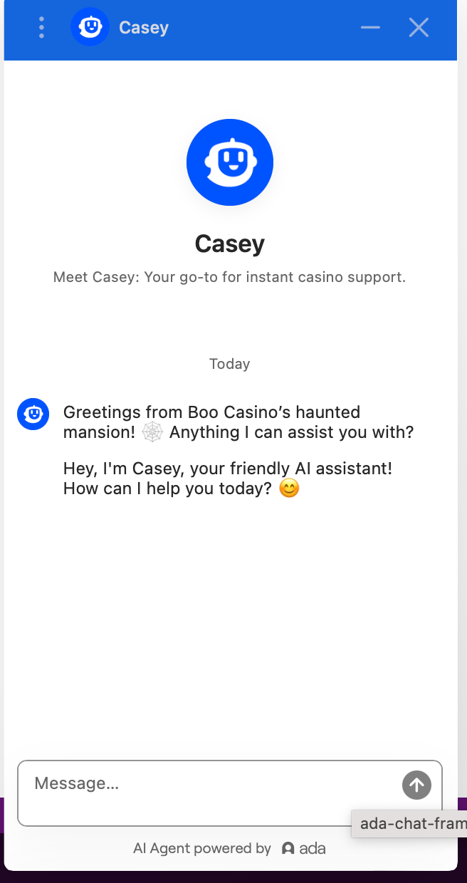 Live Chat Screenshot